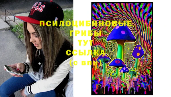 прущая мука Новодвинск