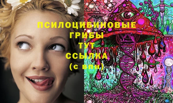 прущие крисы Новокубанск